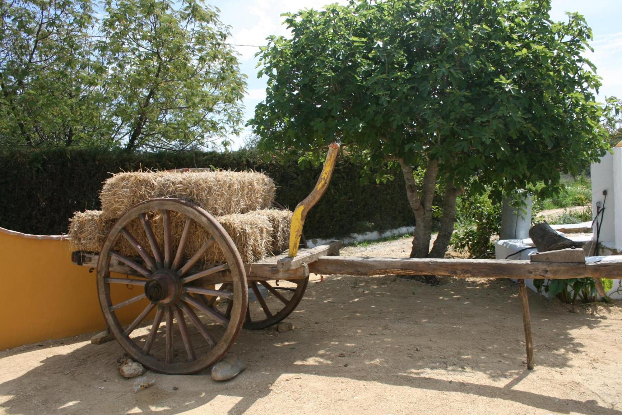 Hacienda Los Majadales Conil De La Frontera Exterior photo